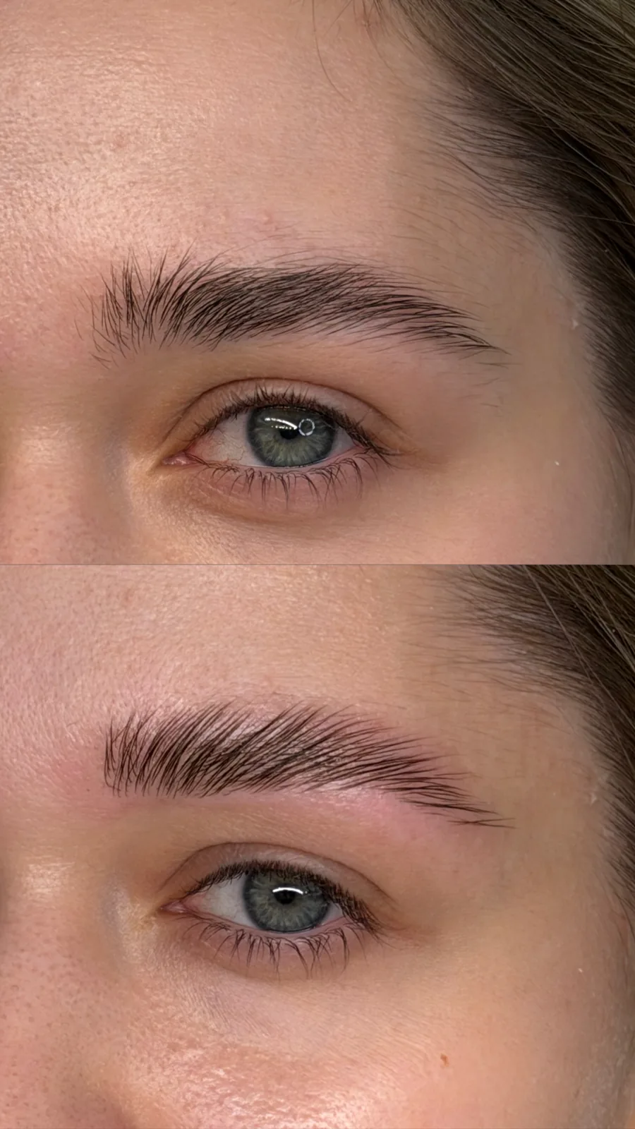 Cejas laminadas y con tinte, resultado ya sanado