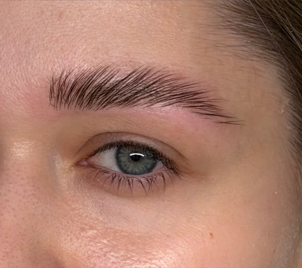Laminated and shaped brow